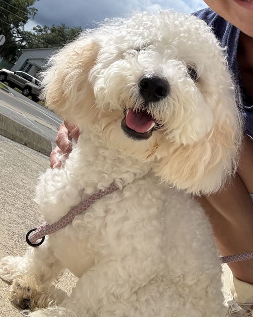 Baxter