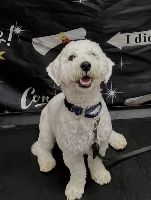 Baxter
