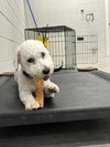 Baxter
