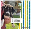 Russell