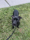 Nona