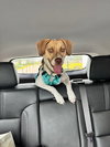 Journey