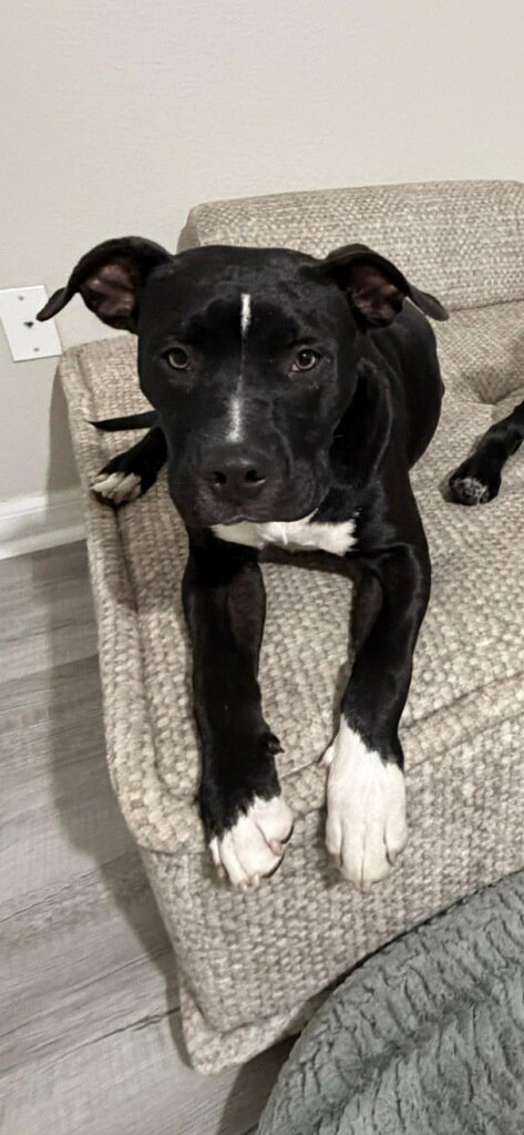 Mystique AKA Cali *BONDED* with Magneto AKA Cash