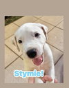 Stymie FH