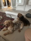 Ethel *BONDED* with Lucy