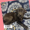 Carly