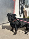 Sweet Pea *BONDED with* Squirt