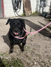 Sweet Pea *BONDED with* Squirt