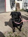 Sweet Pea *BONDED with* Squirt