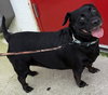 Sweet Pea *BONDED with* Squirt