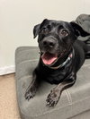 Sweet Pea *BONDED with* Squirt
