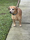 Squirt *BONDED with* Sweet Pea
