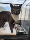 Sammy