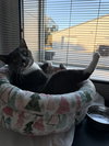 Sammy