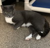 Sammy
