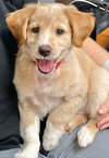 Tucker