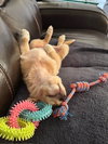Tucker