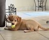 Tucker