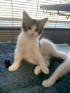 Tina