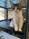 Tina