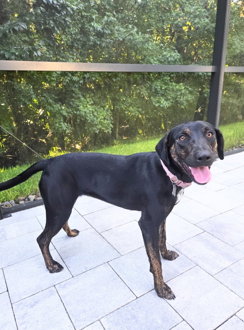 Saoirse Doglando Graduate FH