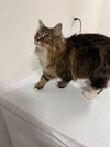 Coraline *BONDED with Wednesday*