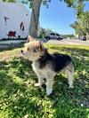 Coby