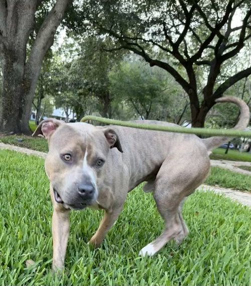 Ralph - TRAINING CAMP photo 2