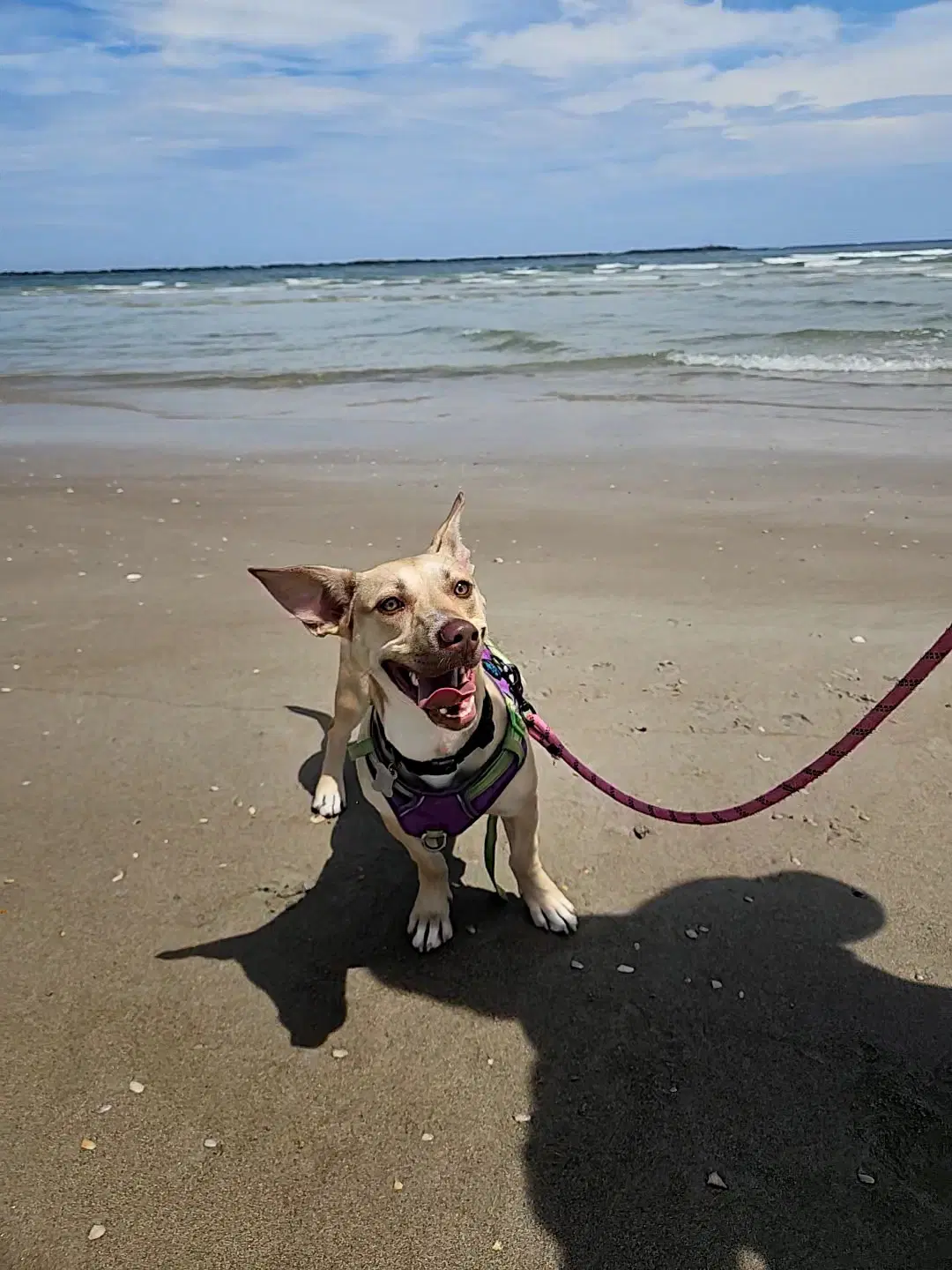Midge Doglando Graduate image 2