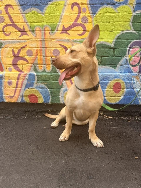 Midge Doglando Graduate