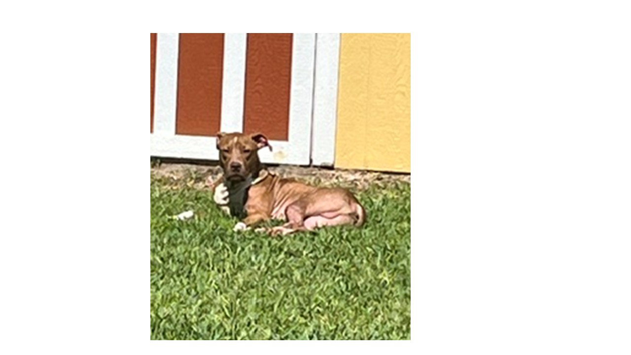 Rocco FH, photo 12