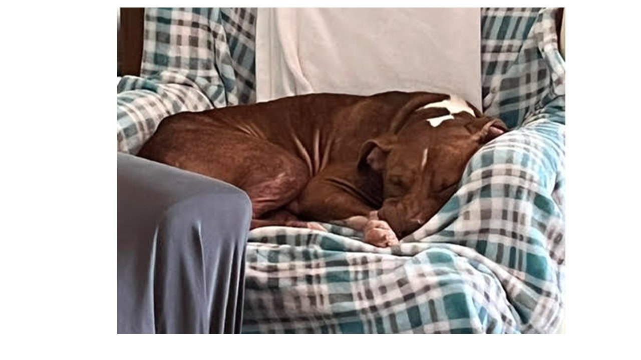 Rocco FH, photo 13