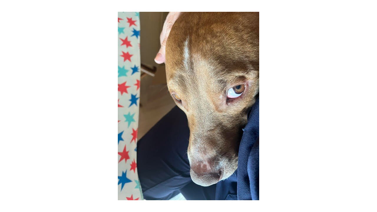 Rocco FH, photo 14