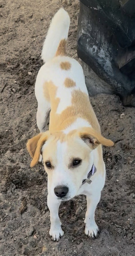 Stretch