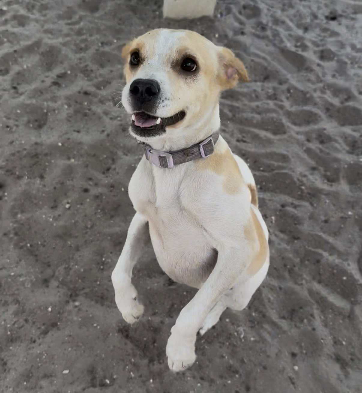 Stretch, photo 3