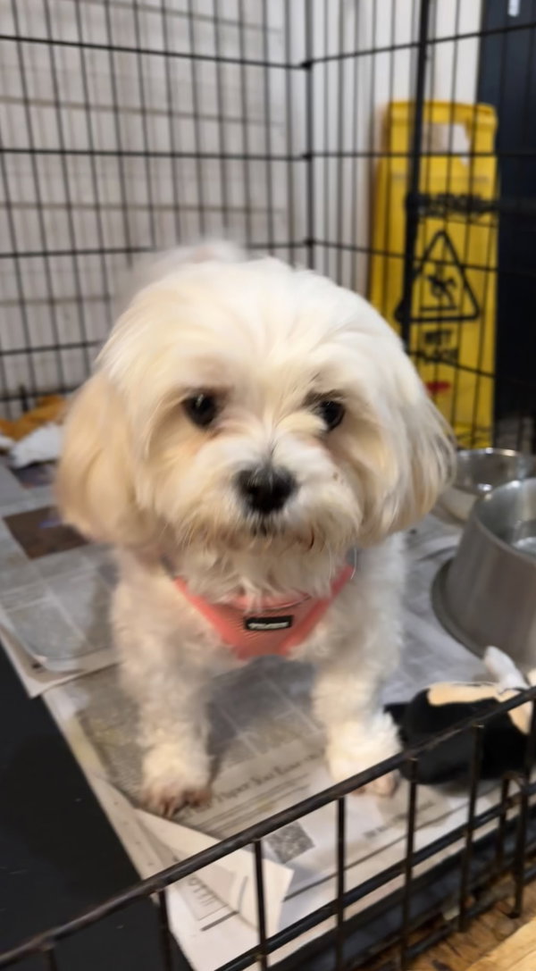 Lucy FH - Aloft Hotel DTO