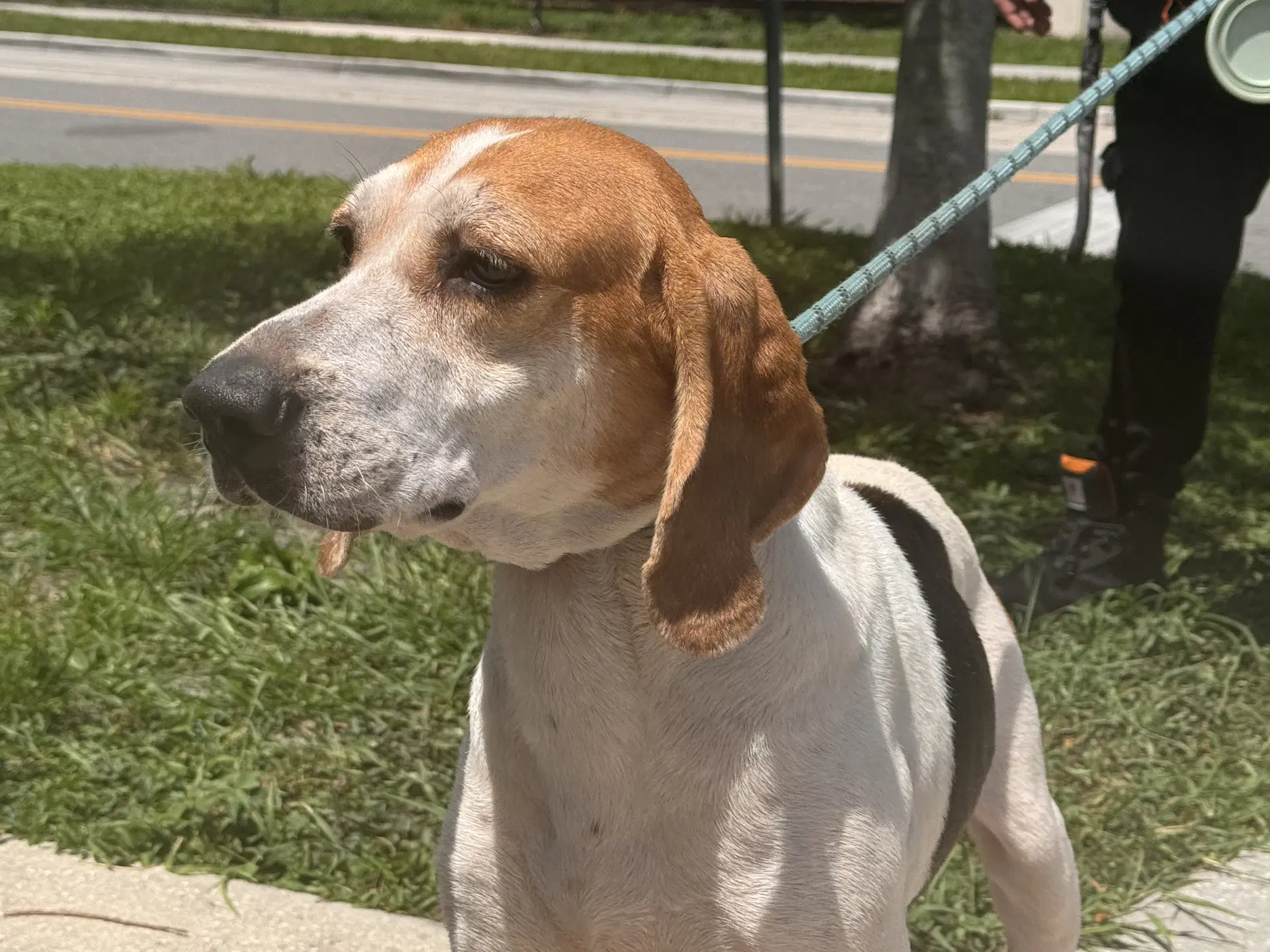 Wyatt image 4