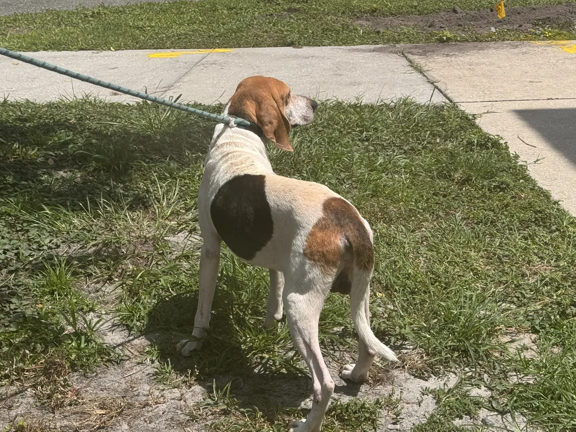Wyatt image 2