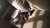 Chance the Chihuahua