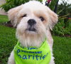 Charlie