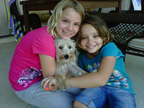 Bruski the Yorkie (Video)