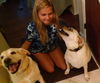 Katie the Yellow Lab