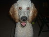 Romeo