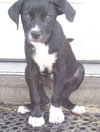 Aloma