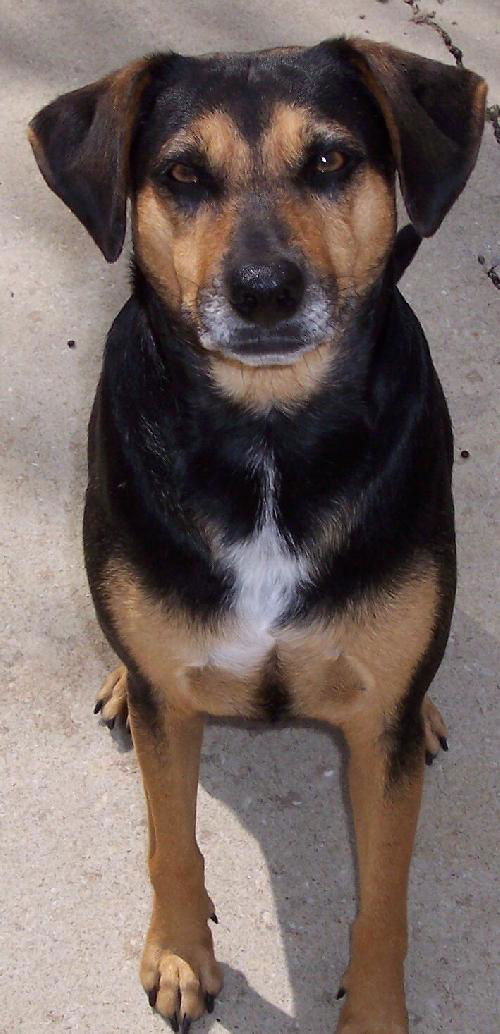 Penny