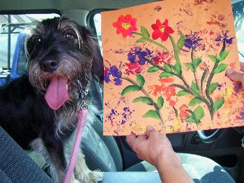 Winston Churchill the Schnoodle