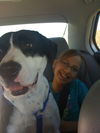 Fletcher the Bulldog