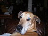 Riley