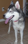 Kiska