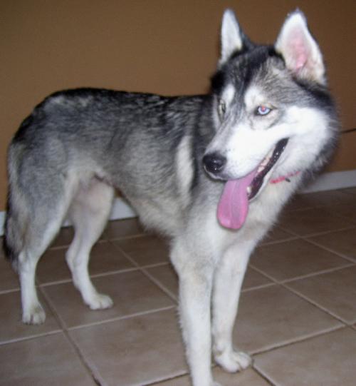 Kiska